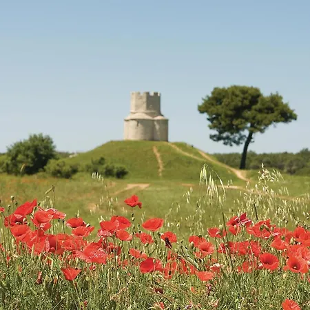 2 Bedroom Stunning In *