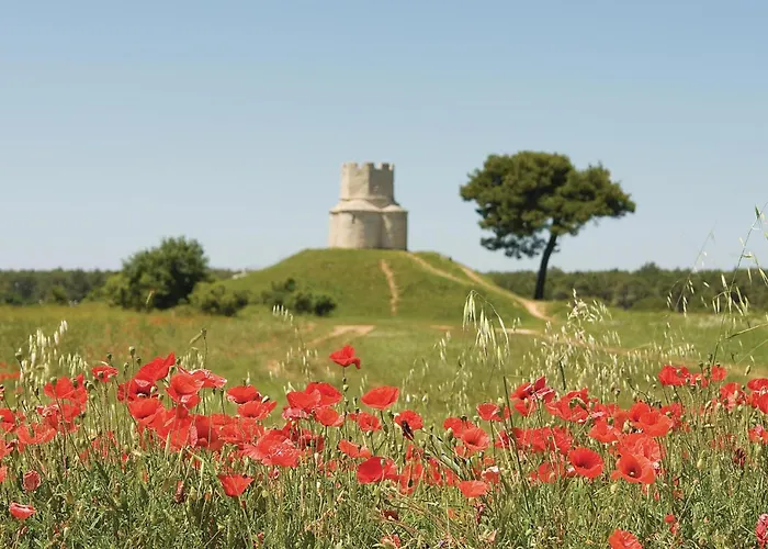 2 Bedroom Stunning In *